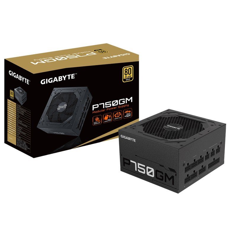 PSU0076 Fuente de poder Gigabyte P750GM - (GP-P750GM)